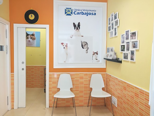 Clínica Veterinaria Carbajosa