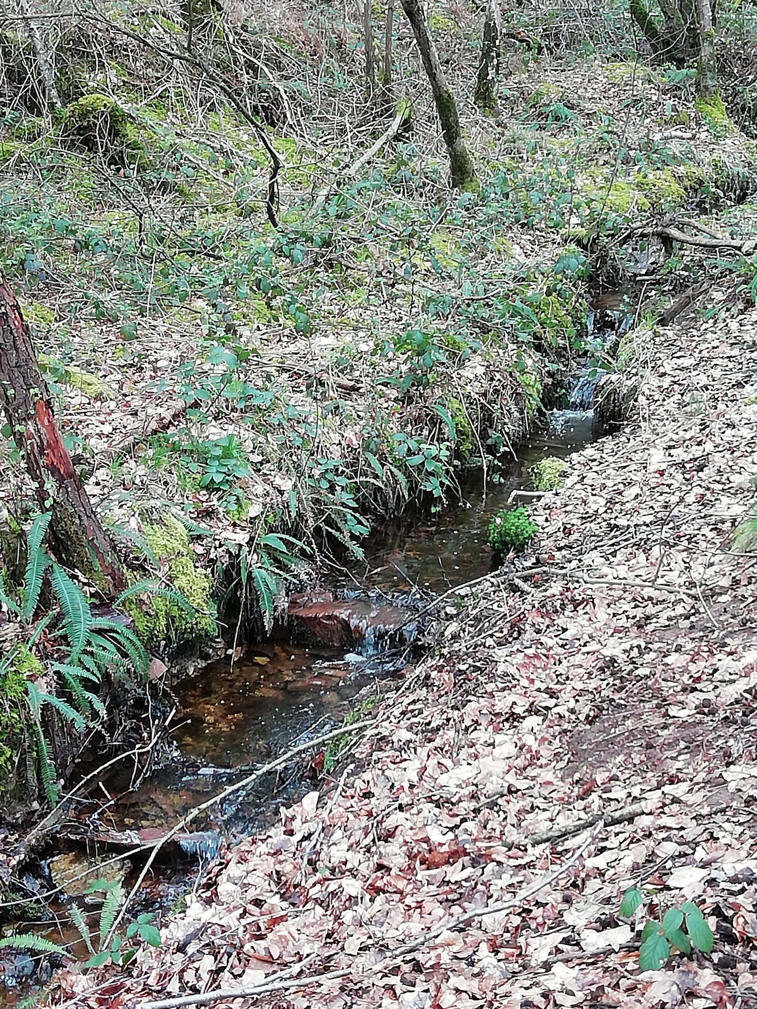 Photo n° 7 de l'avis de Wlady.a fait le 07/04/2019 à 16:14