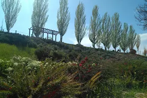 Negrillos Park image