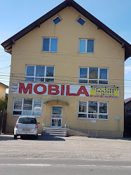 Magazin de mobilă