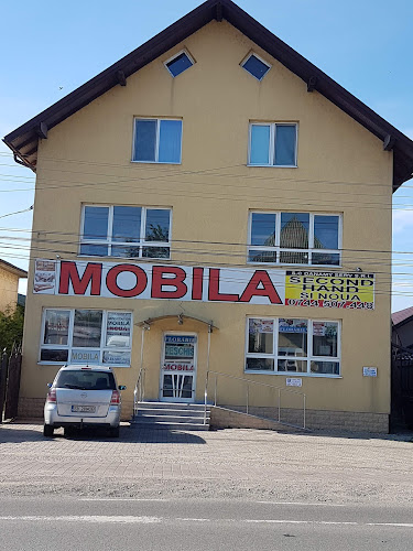 Magazin de mobilă