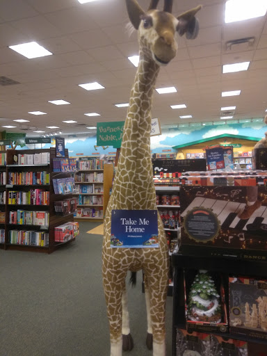 Book Store «Barnes & Noble», reviews and photos, 3055 S Glenstone Ave, Springfield, MO 65804, USA