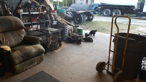 1003 Cranleigh Ave, DeLand, FL 32720, USA