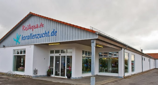 Koi Aqua unter Ebersdorf bei Coburg, 