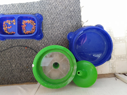 Home Goods Store «Dollar General», reviews and photos, 2649 Main St, Whitney Point, NY 13862, USA