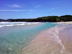 Playa Brava'in fotoğrafı uçurumlarla desteklenmiş