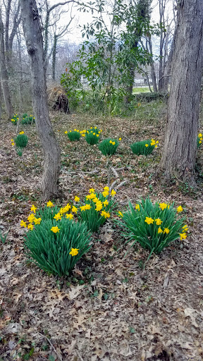 National Park «Fort Hunt Park», reviews and photos, 8999 Fort Hunt Rd, Alexandria, VA 22308, USA