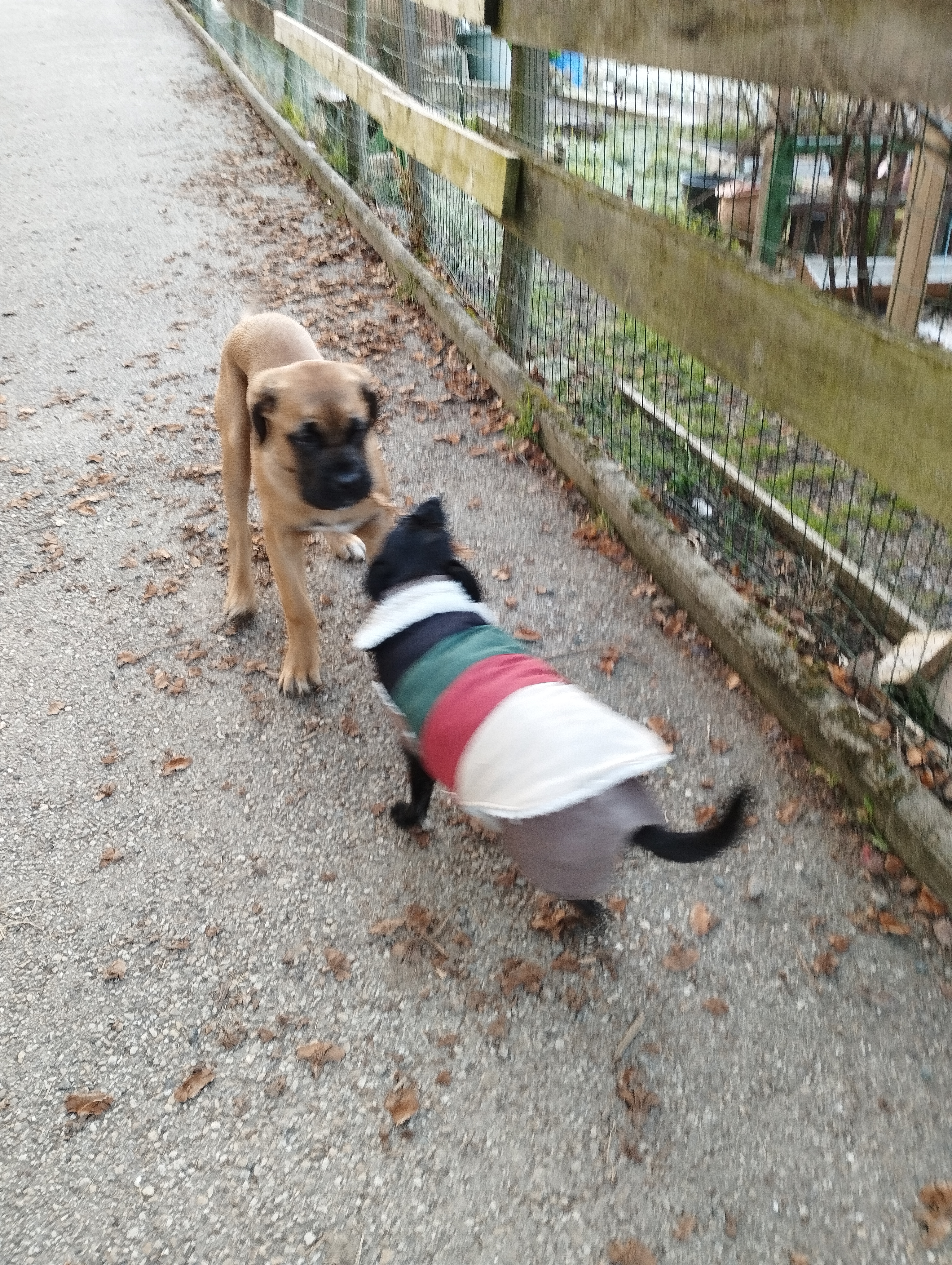 Photo n° 1 de l'avis de Odile.e fait le 21/02/2023 à 18:06