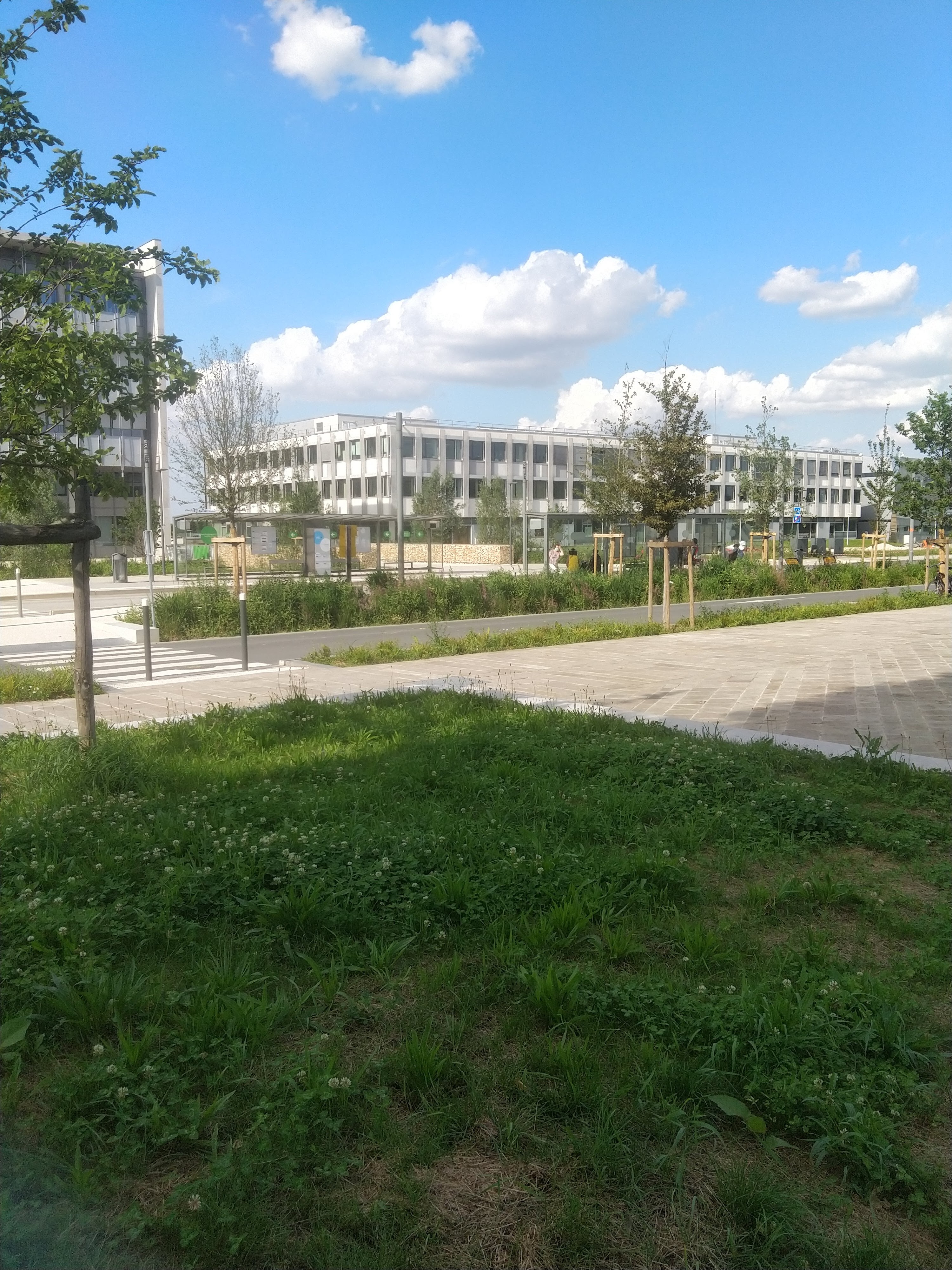 Photo n° 38 de l'avis de vladimir.b fait le 23/09/2021 à 18:16