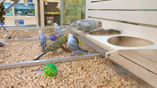 Pet Supply Store «PetSmart», reviews and photos, 70 Worcester-Providence Turnpike #240, Millbury, MA 01527, USA