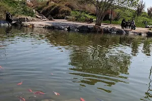 Fish pond image