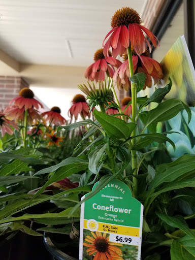 Grocery Store «Kroger Marketplace», reviews and photos, 262 W Main St, Amelia, OH 45102, USA