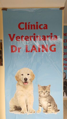 Veterinaria Dr Laing - Limache