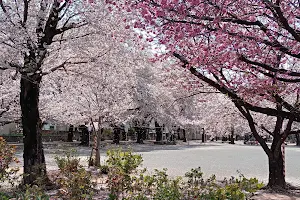 Konosu Park image
