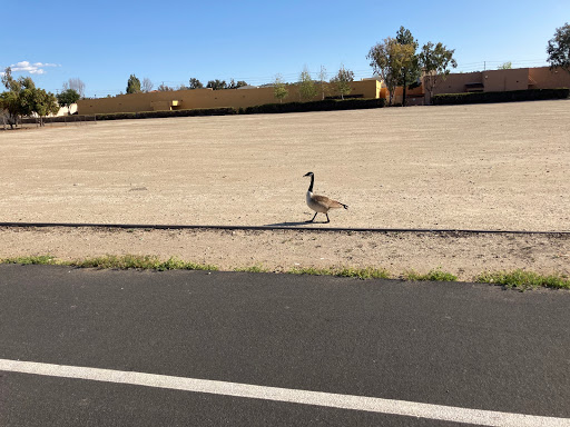 Grocery Store «Ralphs», reviews and photos, 101 W Los Angeles Ave, Moorpark, CA 93021, USA