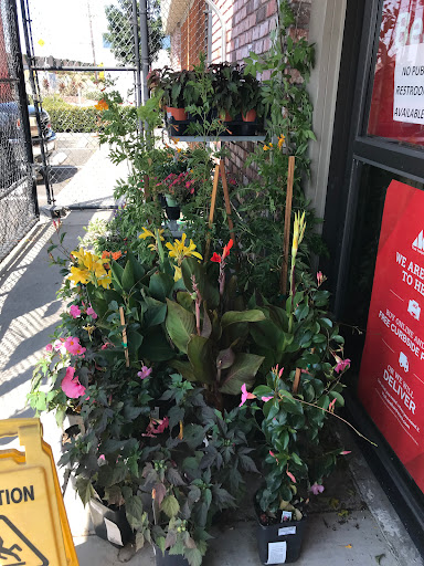 Hardware Store «Antioch Ace Hardware», reviews and photos, 501 Sunset Dr, Antioch, CA 94509, USA