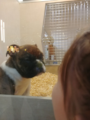 Pet Store «Alley Cat Pet Center», reviews and photos, 8700 NE Vancouver Mall Dr, Vancouver, WA 98662, USA