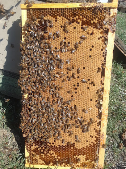 Five Star Honey Farms