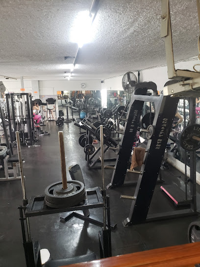 ARCOS GYM