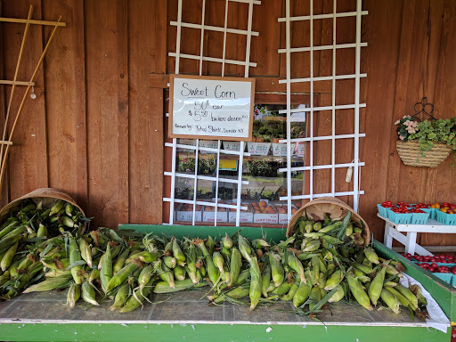 Produce Market «The Bigsby Market», reviews and photos, 1418 Dryden Rd, Freeville, NY 13068, USA