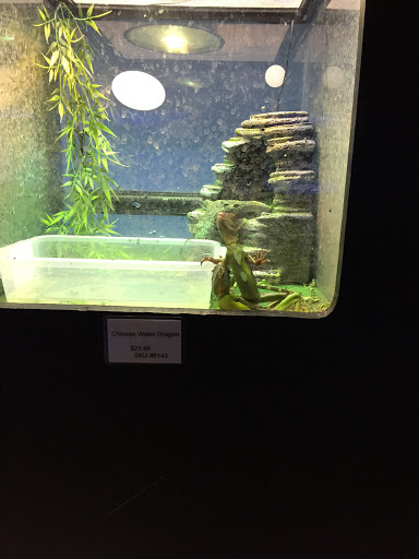 Pet Store «Inland Reef Pet Store», reviews and photos, 817 Cross Lanes Dr, Cross Lanes, WV 25313, USA