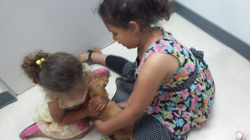 Pet Store «Petland», reviews and photos, 920 Hebron Rd, Heath, OH 43056, USA