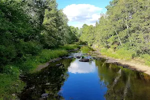 Hopewell Heritage Foot Bridge Nature Trail image