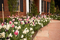 Pioneer Landscape Centers - Photo 9 - Car repair in Littleton, CO, Highlands Ranch