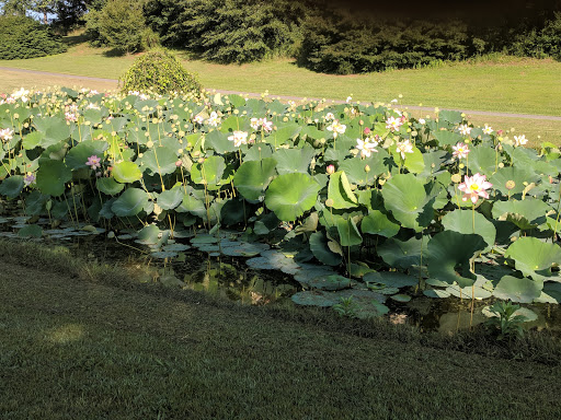 Public Golf Course «Callahan Golf Links», reviews and photos, 4991 Reinhardt College Pkwy, Waleska, GA 30183, USA