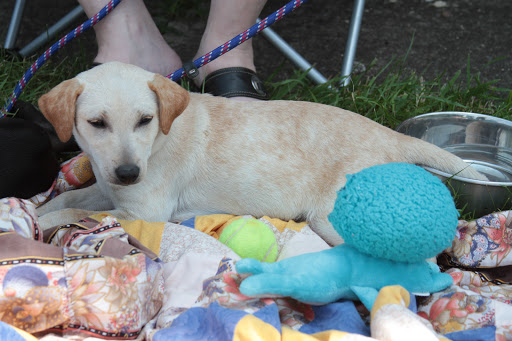 Auto Parts Store «A&A Auto Stores», reviews and photos, 360 N 9th St, Stroudsburg, PA 18360, USA