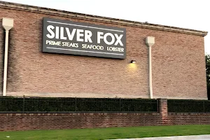 Silver Fox image