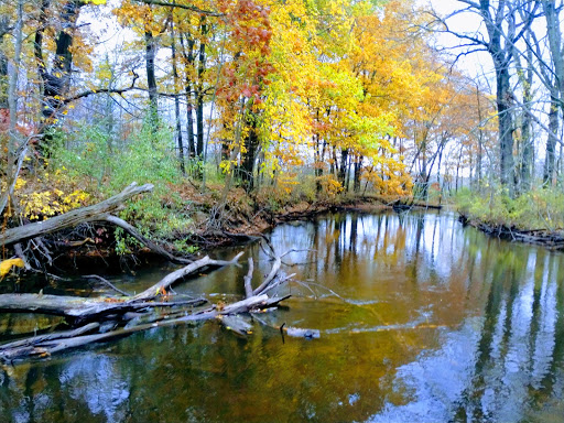 Mill «Sharon Mills County Park», reviews and photos, 5701 Sharon Hollow Rd, Manchester, MI 48158, USA