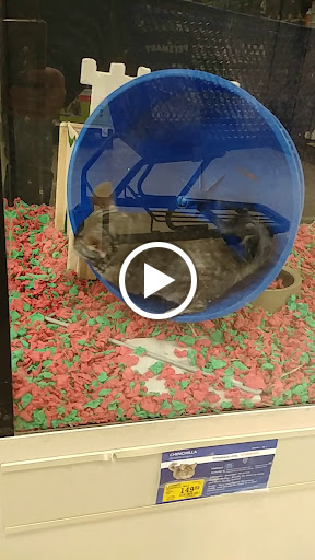 Pet Supply Store «PetSmart», reviews and photos, 9277 159th St, Orland Hills, IL 60487, USA