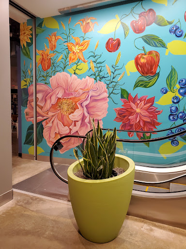 Shopping Mall «Ballston Common Mall», reviews and photos, 4238 Wilson Blvd, Arlington, VA 22203, USA