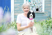 Kaja's Happy Tails - Photo 2 - Car repair in St Paul, MN, Minneapolis