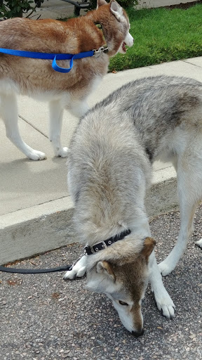 Pet Supply Store «Care-A-Lot Pet Supply Indian River», reviews and photos, 5457 Indian River Rd, Virginia Beach, VA 23464, USA