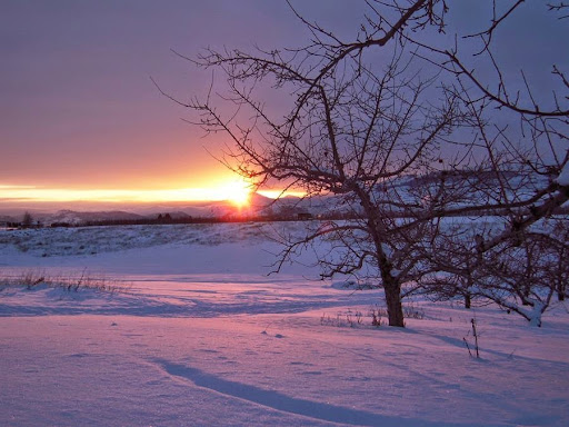 Fireplace Store «Yard Art Patio & Fireplace - Allen», reviews and photos, 111 Central Expy S, Allen, TX 75013, USA