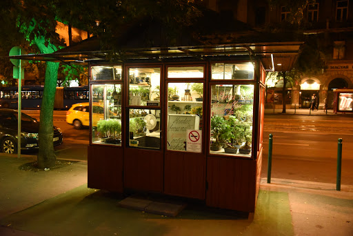 Szakosodott bonsai virágüzletek Budapest