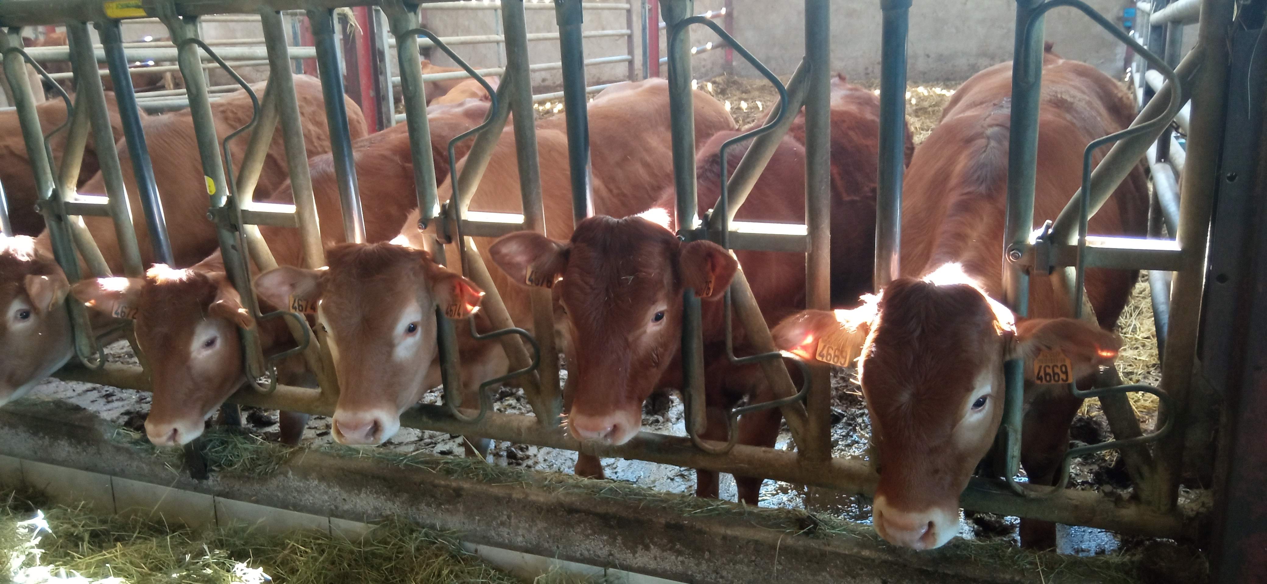 Photo n° 4 de l'avis de madelene.e fait le 15/06/2023 à 15:44