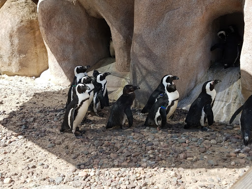Amphitheater «Toledo Zoo Amphitheater», reviews and photos, 2700 Broadway St, Toledo, OH 43609, USA
