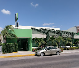 Restaurante Las Palmas Doradas photo