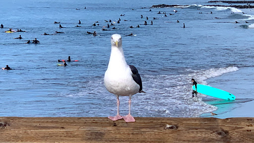 Amusement Park «Balboa Fun Zone», reviews and photos, 600 E Bay Ave, Newport Beach, CA 92661, USA