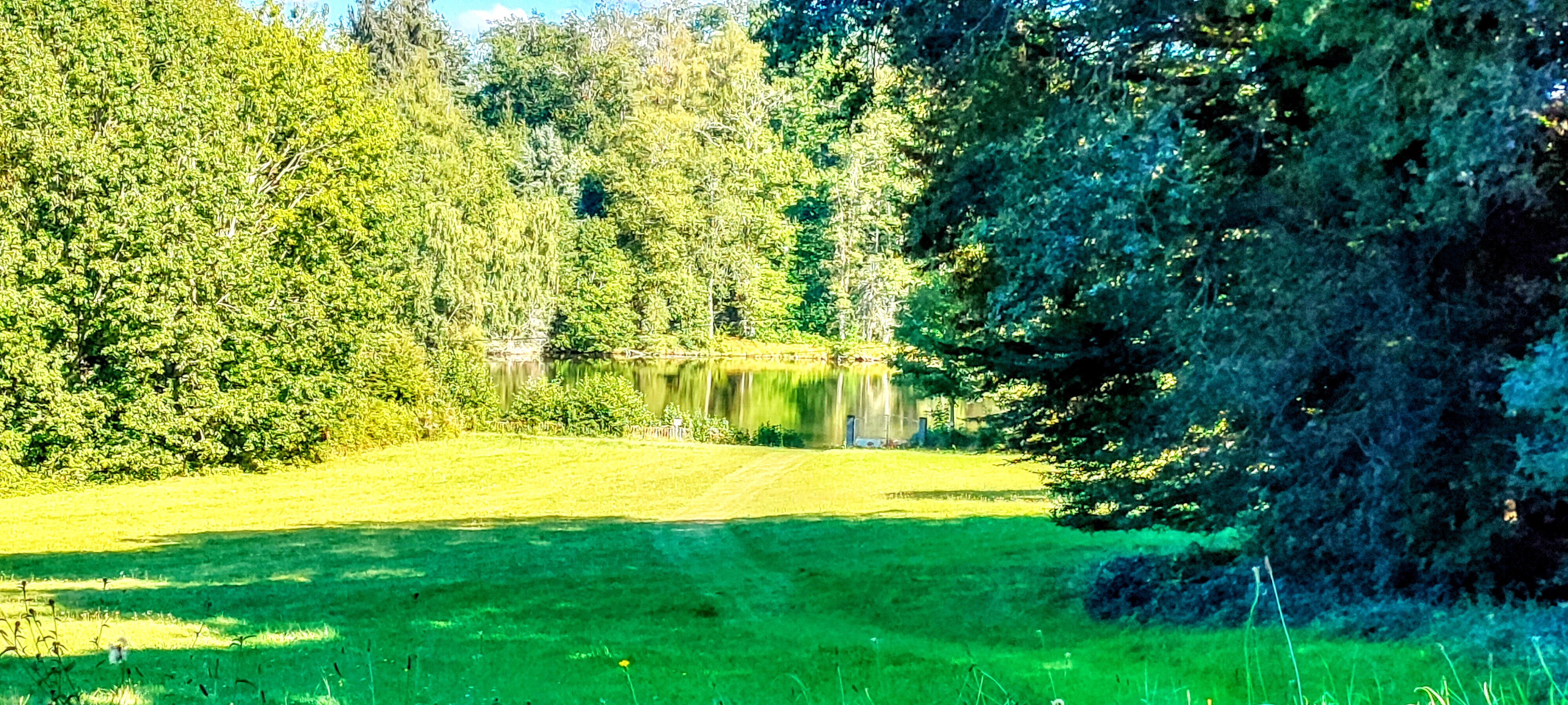 Photo n° 2 de l'avis de carvalho.o fait le 24/09/2021 à 12:44