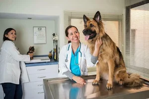 Hospital Veterinario Dogtor image