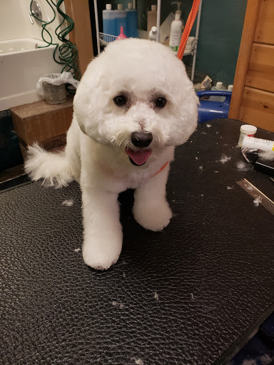 Happy Dog Grooming