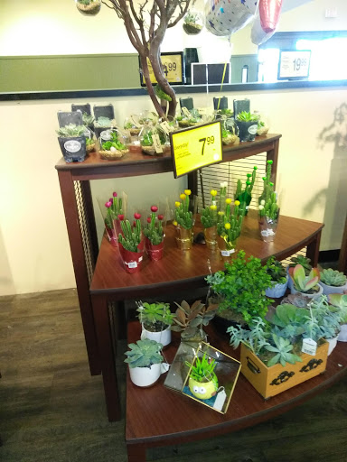 Grocery Store «Safeway», reviews and photos, 3185 Apache Trail, Apache Junction, AZ 85220, USA