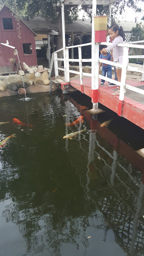 Florist «Loose Caboose LLC», reviews and photos, 18492 E Telegraph Rd, Santa Paula, CA 93060, USA