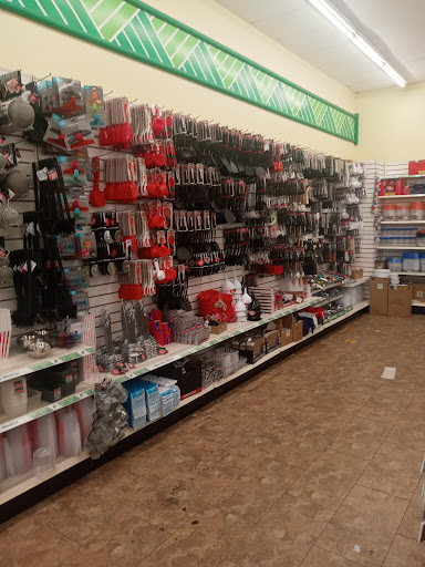 Dollar Store «Dollar Tree», reviews and photos, 9221 N 56th St, Temple Terrace, FL 33617, USA