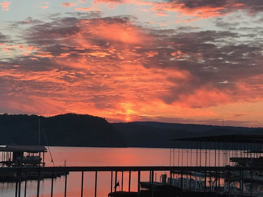 Marina «Terrace View Marina», reviews and photos, 3367 Euchee Chapel Rd, Spring City, TN 37381, USA