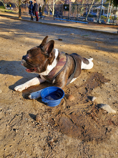 Dog Park «Forest Park Dog Run», reviews and photos, 8445 Park Ln S, Woodhaven, NY 11421, USA